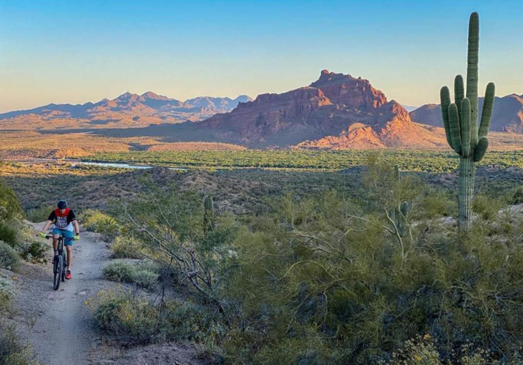 Exploring Phoenix: The Shining Gem of the West